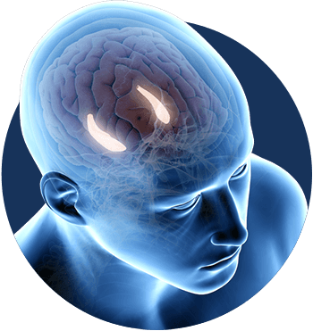 Billionaire Brain Wave buy now